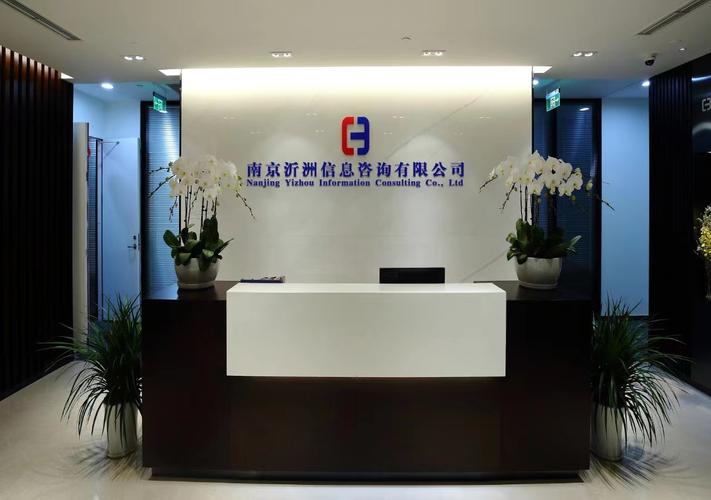 100萬元啟動資金，經營范圍聚焦網絡技術與信息技術咨詢 一家新公司的戰略定位與成長路徑